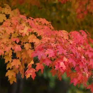 Meet your Posher, Rita